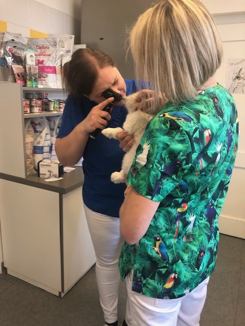 Dr. Mikolášiková vyšetřuje dutinu ústní pacienta